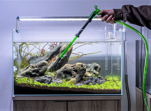 Spiderwood in the Aquarium: A Stunning Addition for Aquascaping Enthusiasts, by Aqua Essentials
