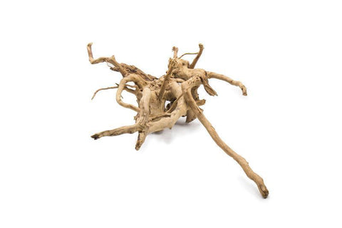 Nano Spiderwood Driftwood – Guppy Barn Aquatics