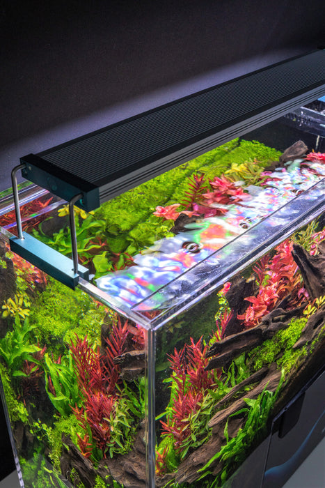 mooi Amfibisch piano Twinstar LED C Line Vr. III - Aquarium Light Fixture — Buce Plant
