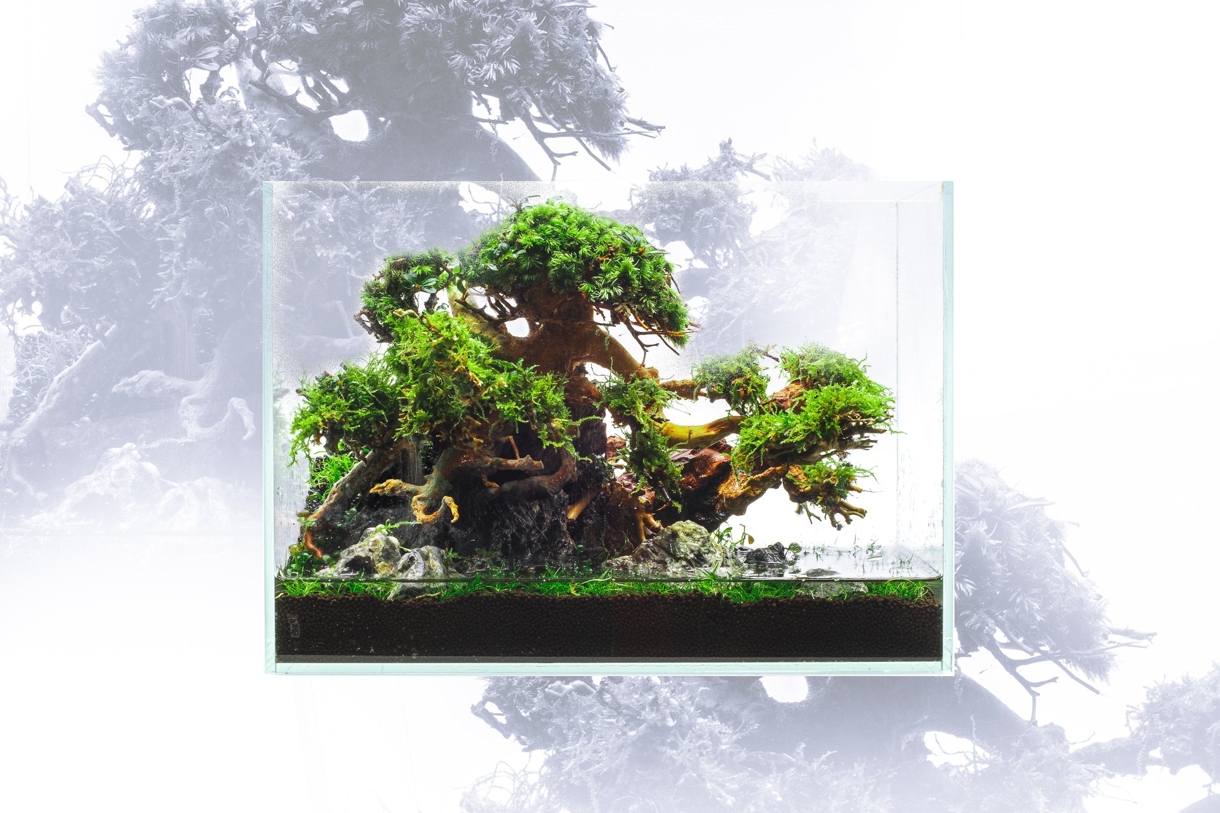 https://cdn.shopify.com/s/files/1/1167/8568/products/uns-3n-3-gallon-ultra-clear-rimless-aquarium-31265838334152.jpg?v=1633722703