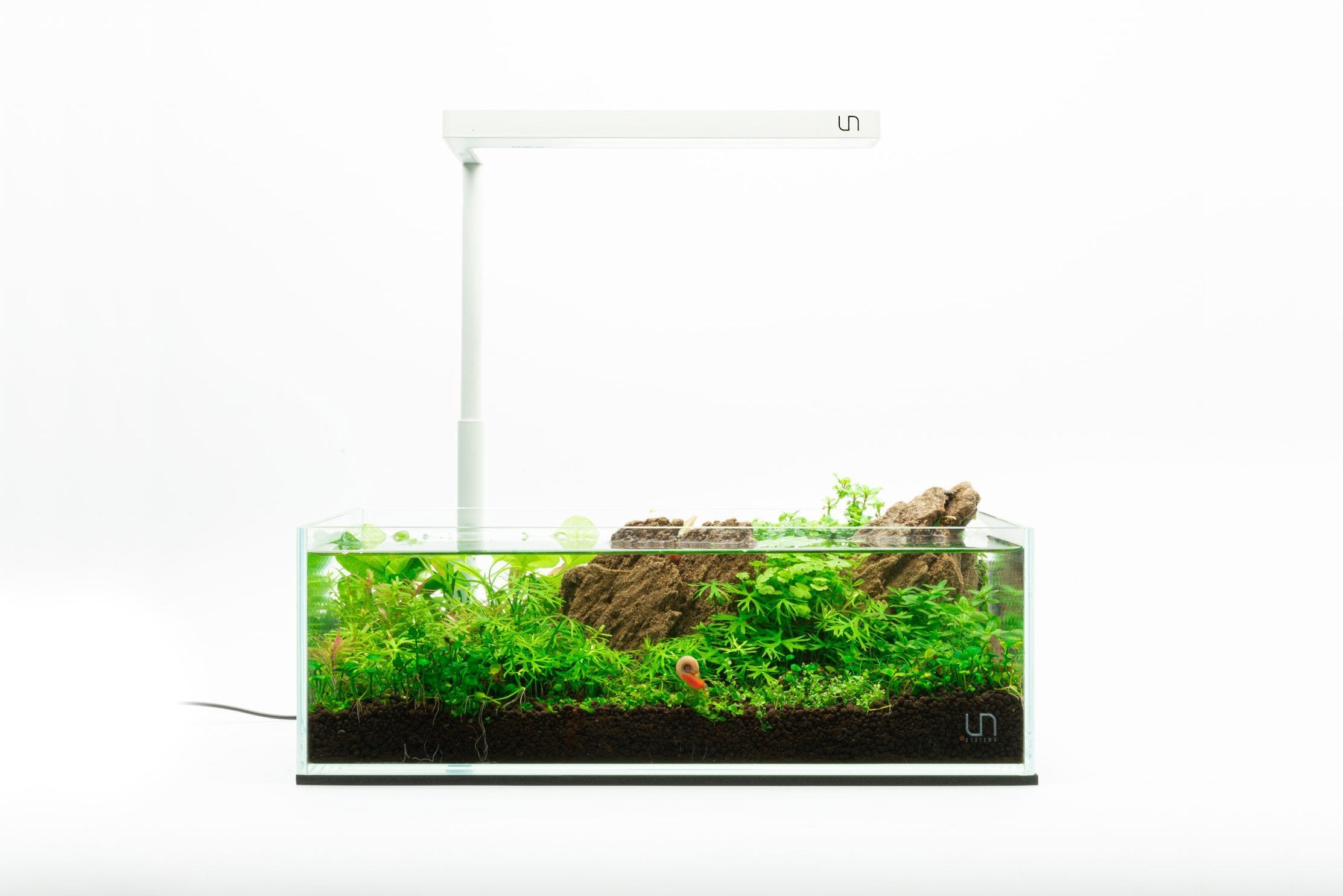 rimless aquarium kit