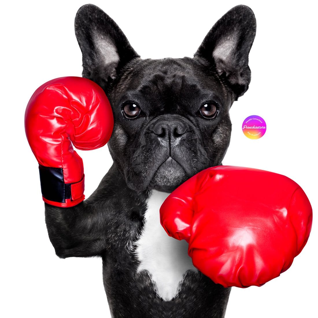best training treats for french bulldogs
