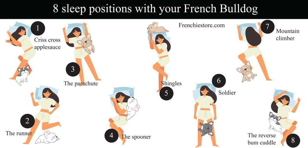 8 sleep positions with your French Bulldog