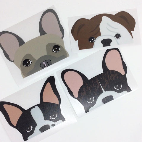 Boston Terrier, Brindle Frenchie , english bulldog French Bulldog drawn by Frenchiestore then made into car decals. 