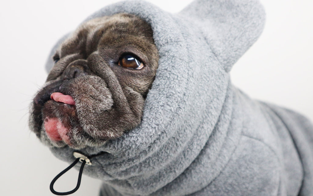 Frenchie ear hoodie made by Frenchiestore Bluenjy