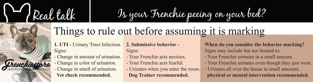 Why is your Frenchie marking your home