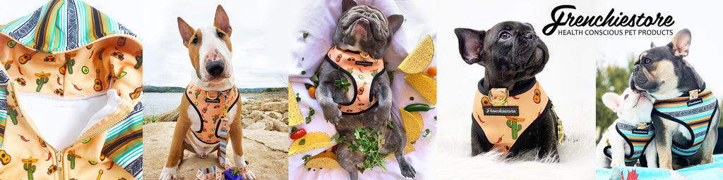 Frenchiestore Livin' La Vida Frenchie Collection