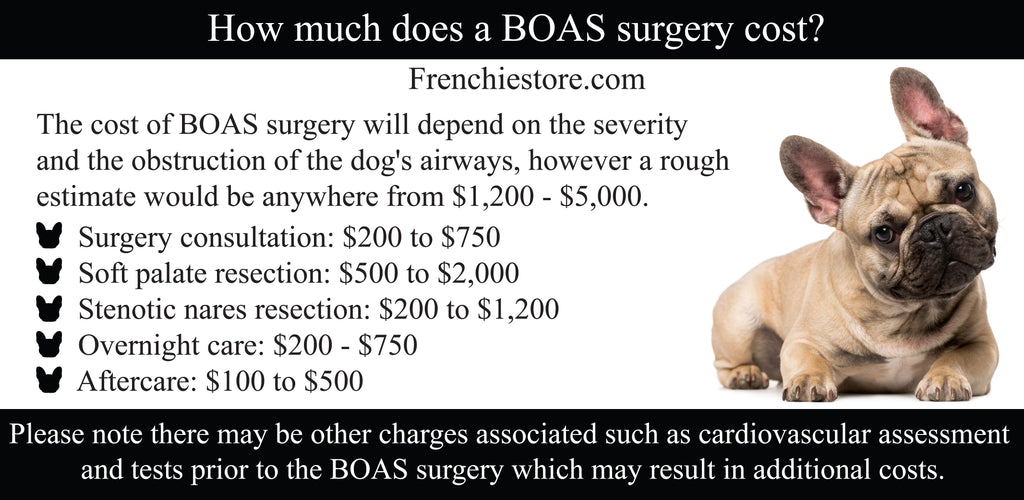 How much does a BOAS surgery cost?