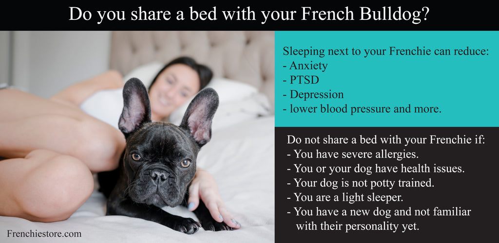 Do you share your bed with your French Bulldog? Frenchiestore.com Frenchie blog