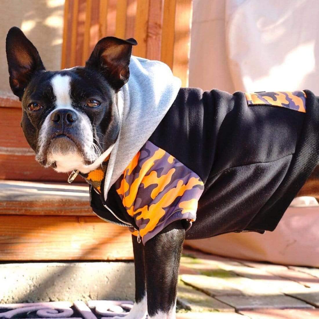⌛️EVCR French Bulldogs Leggings, Size M  Leggings, Clothes design, Cute  french bulldog