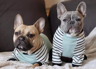 Französische Bulldogge Pyjamas | Frenchie Kleidung | Blauer Frenchie Hund