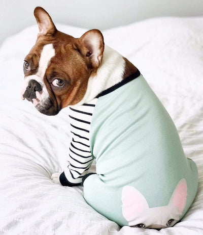 Pyjama Bouledogue Français | Vêtements Frenchie | Chien Frenchie crème