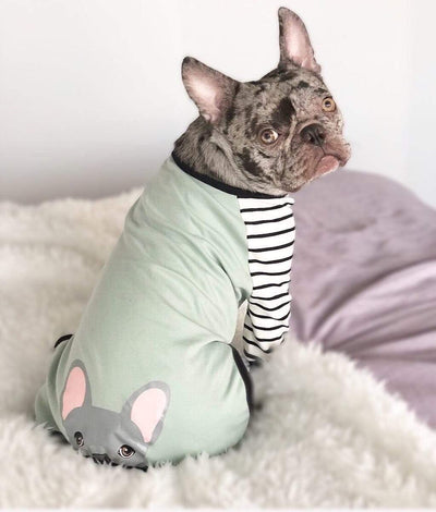 Französische Bulldogge Pyjamas | Frenchie Kleidung | Blauer Frenchie Hund