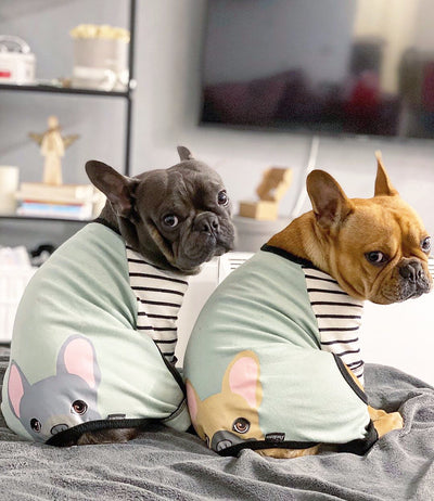 French Bulldog Pajamas | Frenchie Clothing | Fawn Frenchie dog