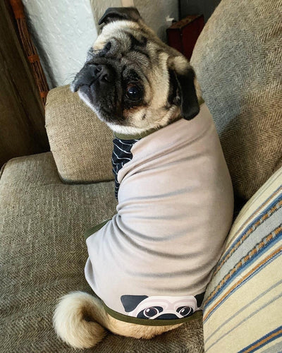 Pijamas Pug | Ropa para perros Pug | Perro pug cervatillo