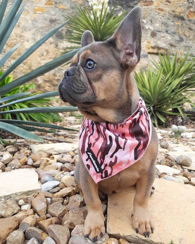 pink camo dog bandana