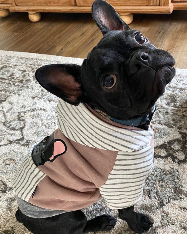 31 Top Images French Bulldog Hoodies For Humans / Gift Guide 9 Adorable ...