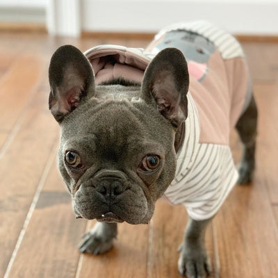 Sweat A Capuche Bulldog Francais En Gris Vetements Frenchie