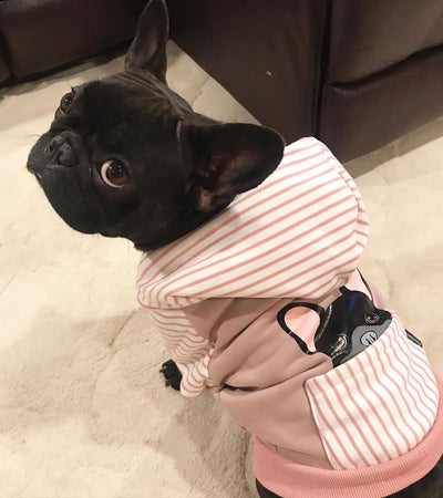 frenchie dog hoodie