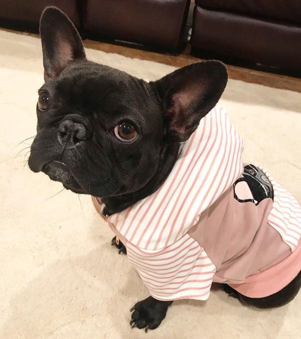 Französische Bulldogge Hoodie in pink Frenchie Kleidung Schwarzer