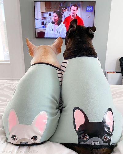 French Bulldog Pajamas | Frenchie Clothing | Black Frenchie dog