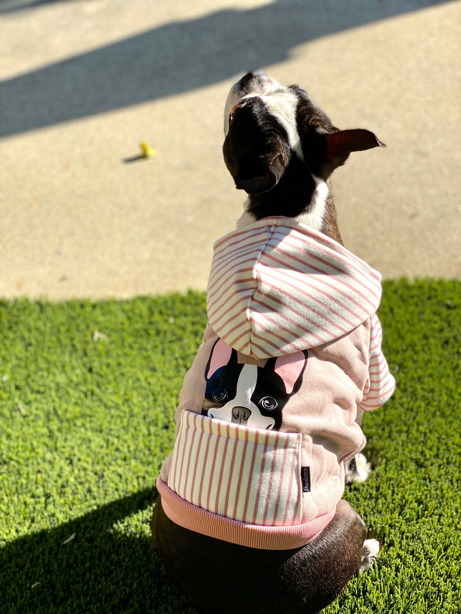 Französische Bulldogge Hoodie Frenchie Kleidung Schwarzer