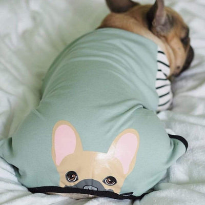 Pijamas de Bulldog Francés | Ropa Frenchie | Perro Frenchie Fawn