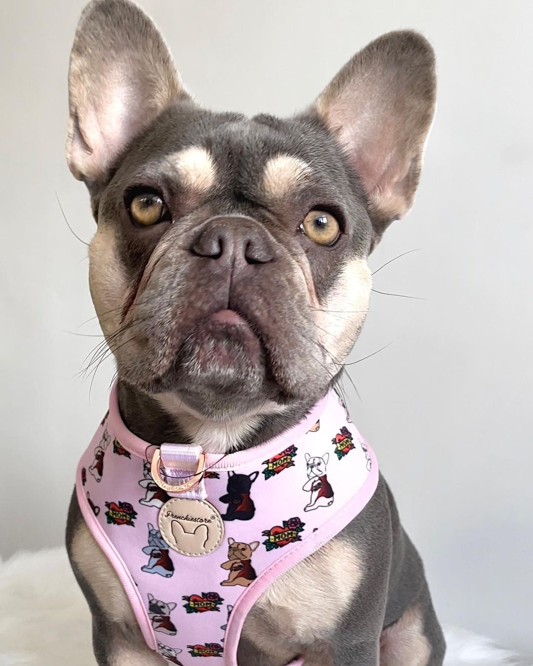 Frenchiestore Luxury Dog Leash | Pink Lemonade