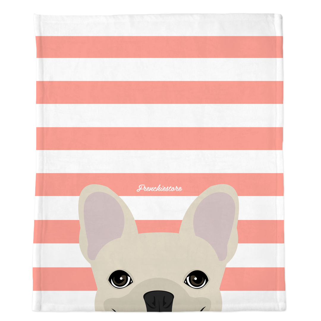 cream french bulldog