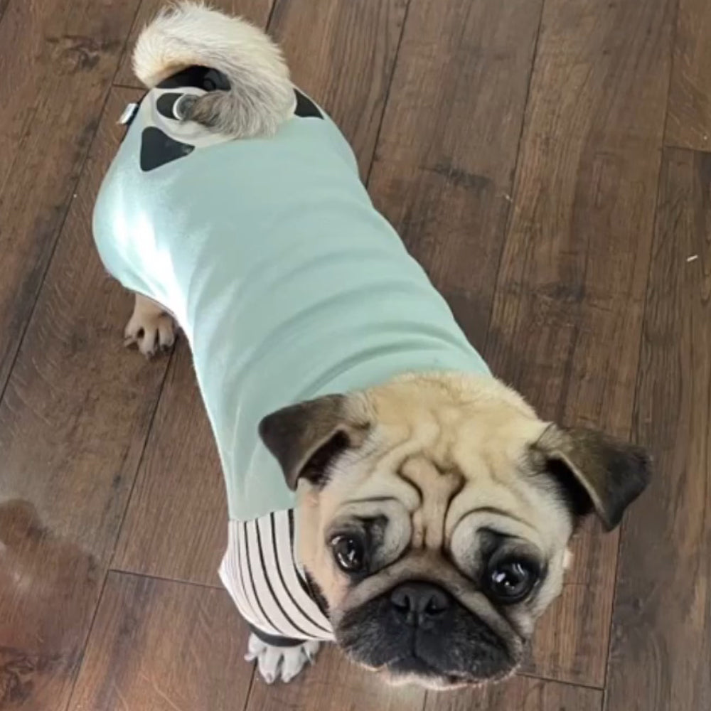 Pijamas | para perros Pug Perro pug cervatillo
