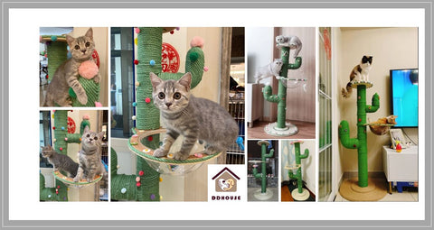 This Cactus Post Gives Your Cat A Stylish Place To Scratch