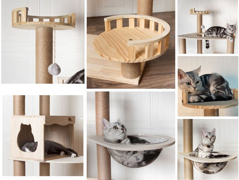 Wooden Cat Toys Cat Climbers Singapore Modern Wood Cat Tree. Kitty Mansions Redwood Cat Tree