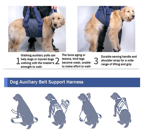  Auxiliary Belt Support Harness For older dog Singapore