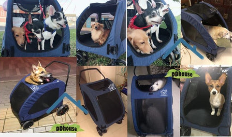 Pet Gear Expedition Pet Stroller for cats and dogs up to 55kg