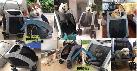 Pet Gear Expedition Pet Prams for cats and dogs up to 55kg