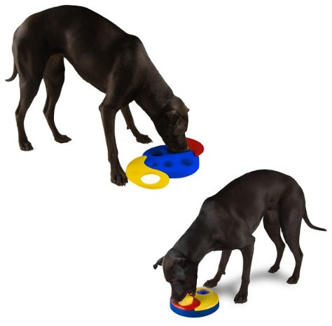 Kyjen Dog Games Yin Yang Yum Puzzle Dog Toy Outward Hound Yin Yang Yum IQ Games for Dogs Singapore