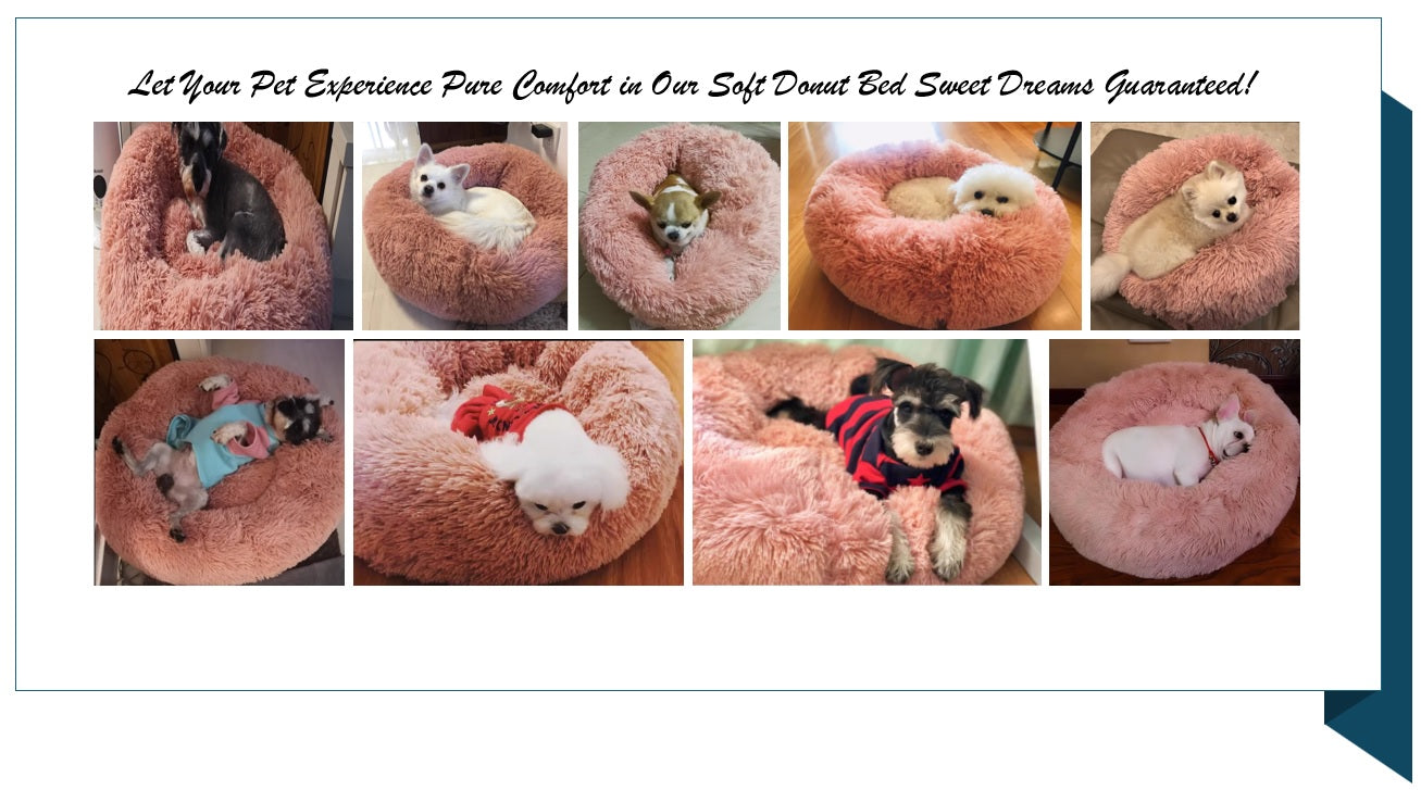 comfy , plush , cushioned . nest like relaxed , cozy pet bed for dog and ca