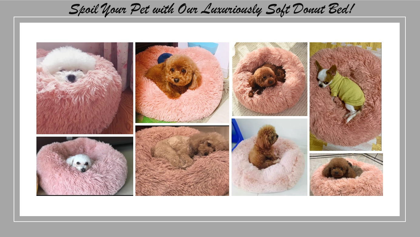 comfy , plush , cushioned . nest like relaxed , cozy pet bed for dog and ca
