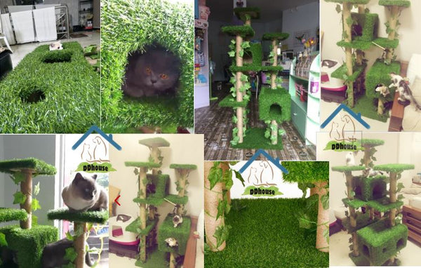 Singapore online Cat Furniture Specialist Man Made Grass Cat tree Free Delivery DDhouse