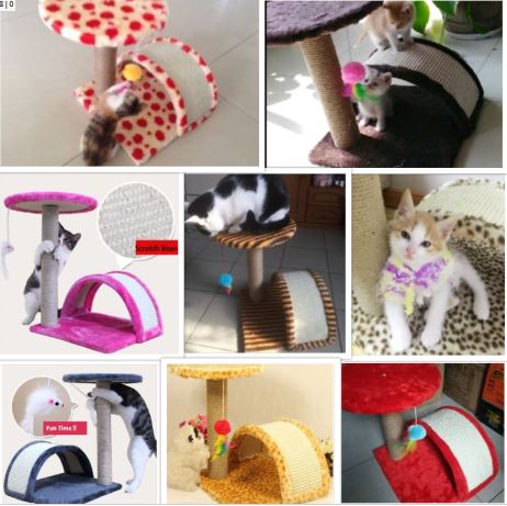 Small Size Cat Climbers Cat Scratchers