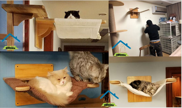 Wall Pet Beds Cat Bed on the Wall Singapore Wooden Cat Furniture