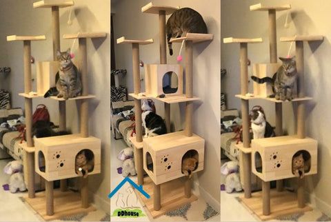 1.85m Extreme Tall Cat Climbers Cat Condos Singapore