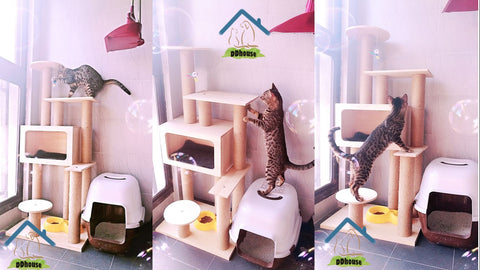 DDhouse Wooden Cat Trees Multiple Designs In Singapore Fast Delivery