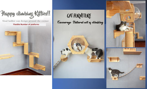 Cat-Friendly Modular Bookshelf Cat Scratching Posts on the wall Cat Scratches Cat Stand