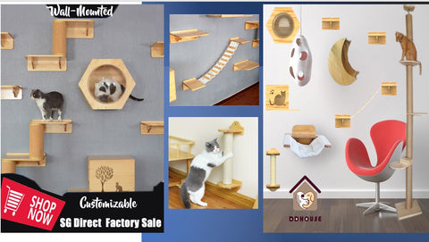 This Old House Cat Shelf and Activity Center Wall Mounted Cat Shelves Wall Mounted Cat Shelf