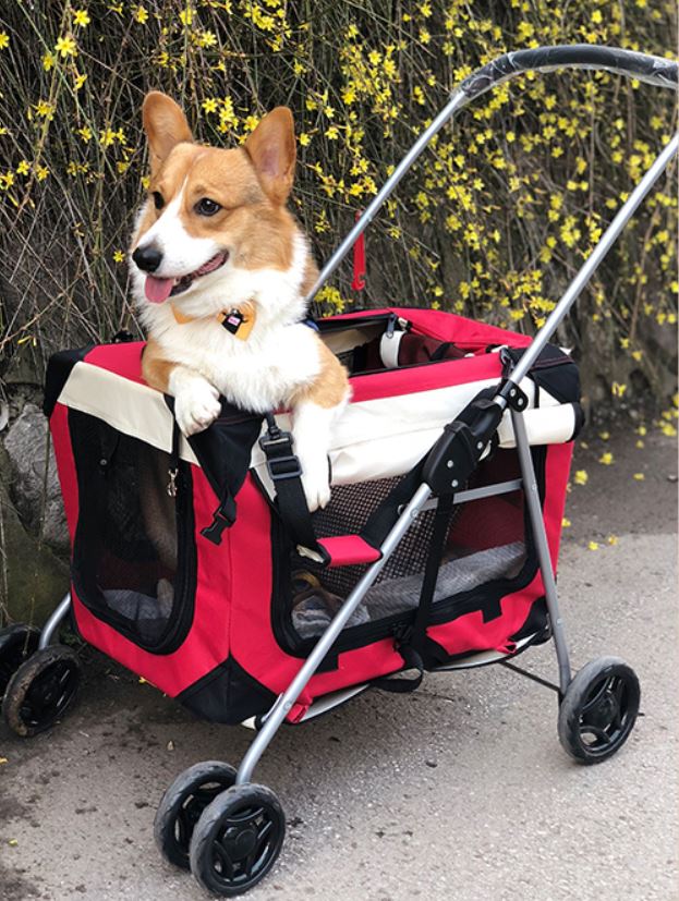 stroller with detachable bassinet