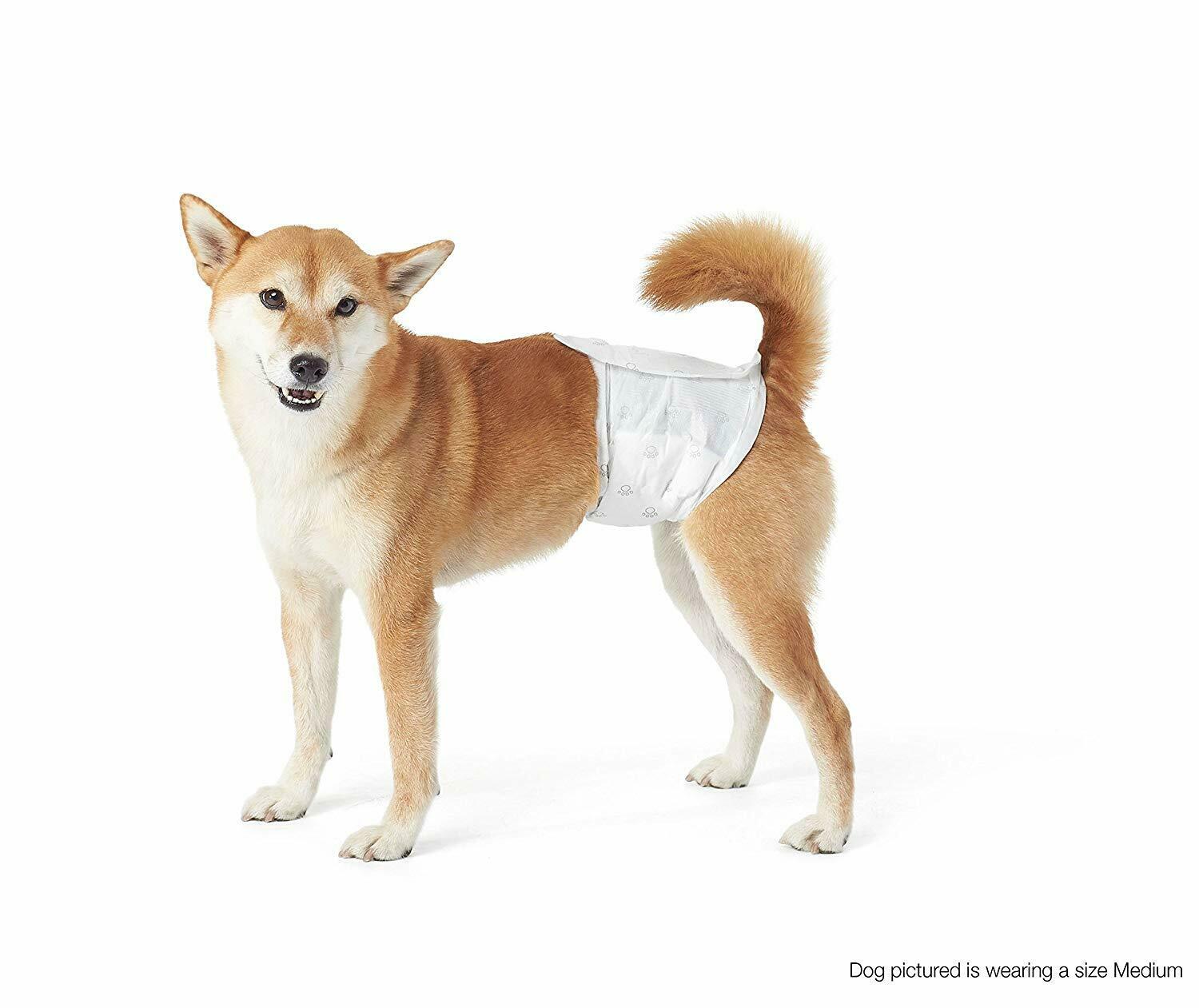 dog incontinence pants male