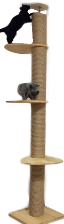 Full Length Floor To Ceiling Wooden Cat Climbing Tree
