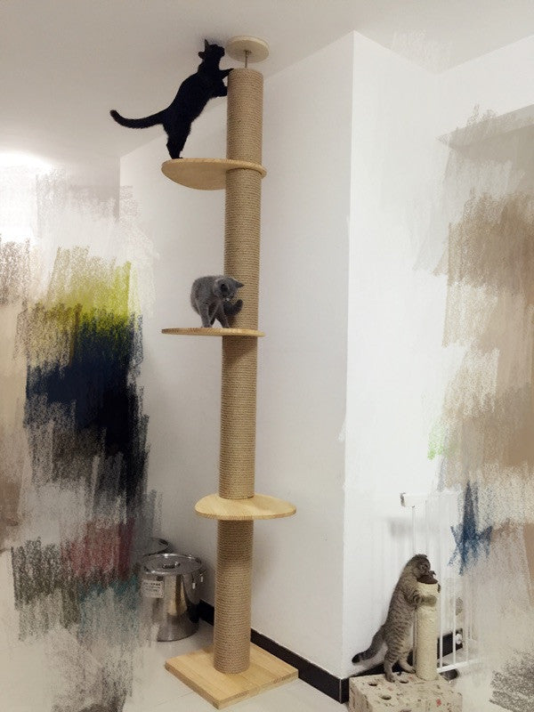 Full Length Floor To Ceiling Wooden Cat Climbing Tree