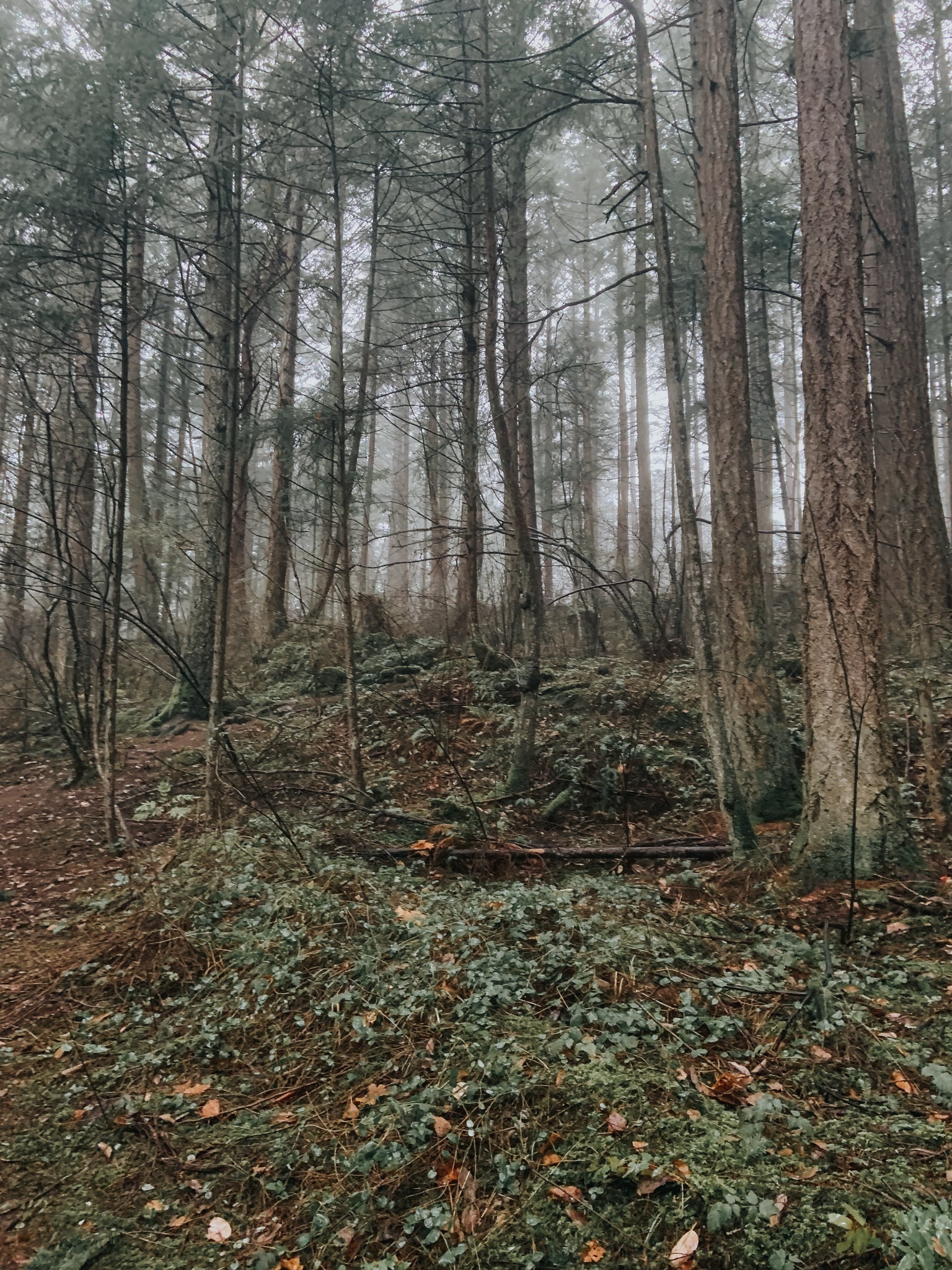 Holmes Peak Highlands Trail hike